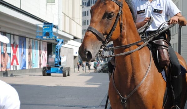 Niet-racisme is een trend aan het worden