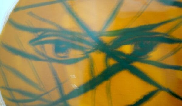 Niet zwart en wit tegenover elkaar maar geciviliseerd en ongeciviliseerd Niet zwart en wit tegenover elkaar maar geciviliseerd en ongeciviliseerd