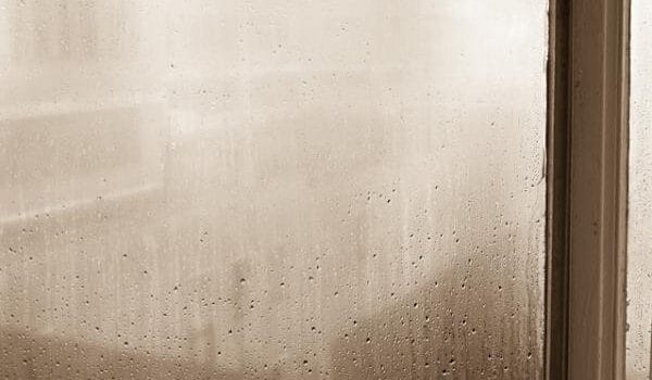 Beeldcolumn 4 – Drie ramen