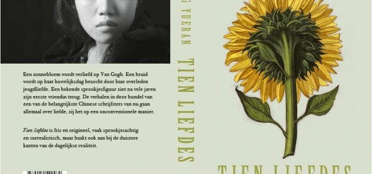 Toch verhulde maatschappijkritiek?